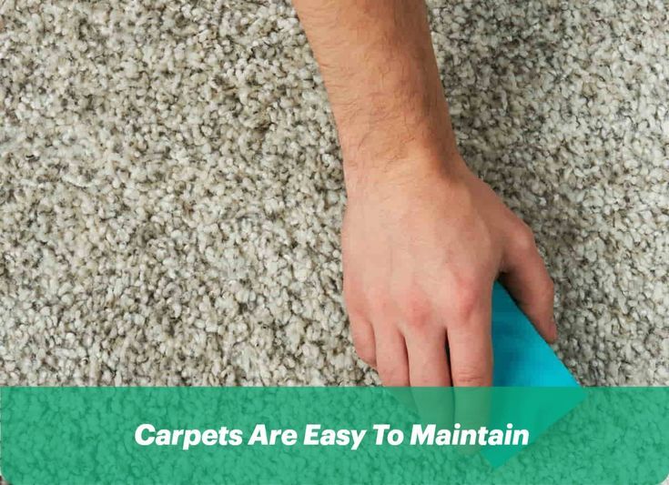 Carpet 