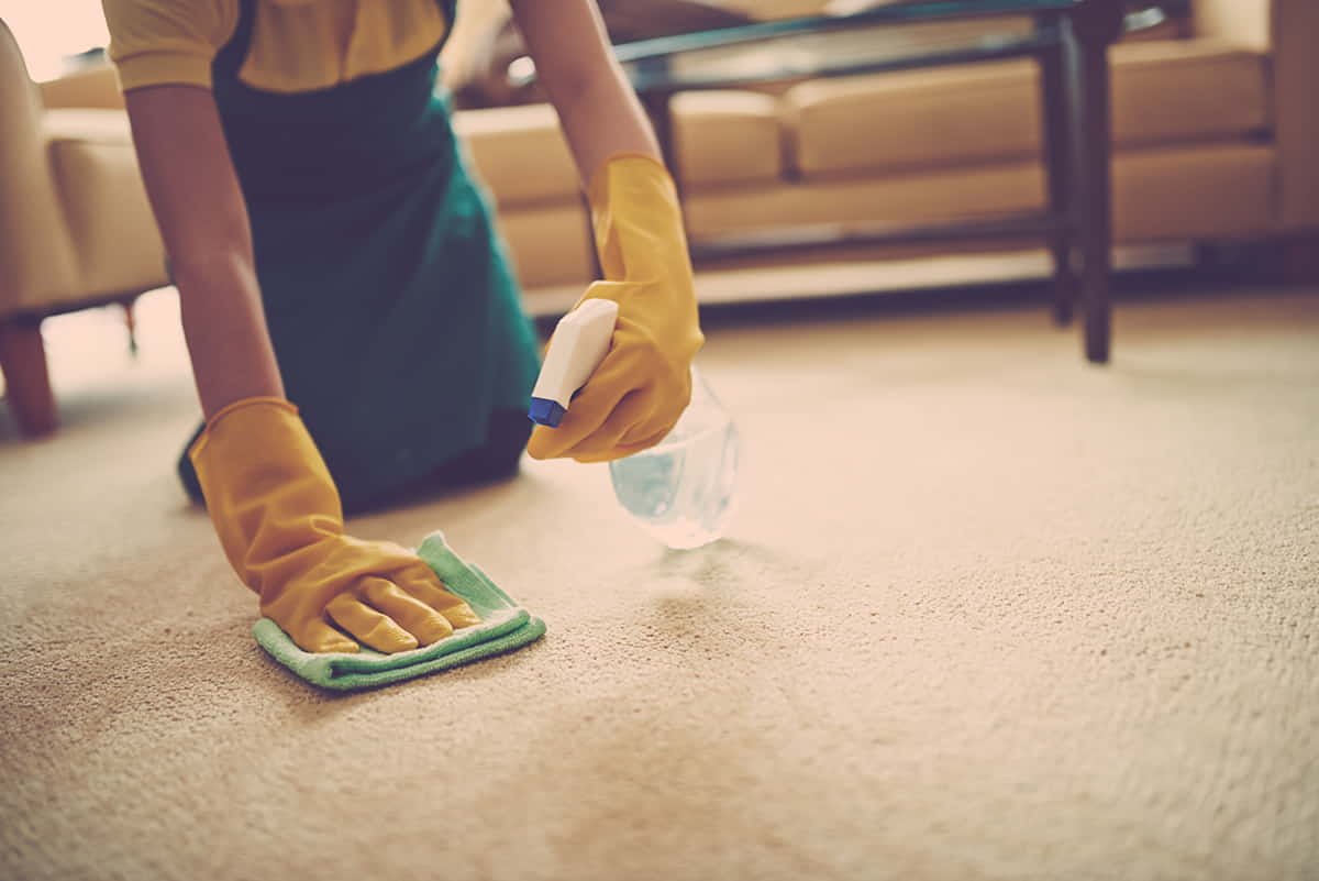 Remove Wood Stains From Carpet