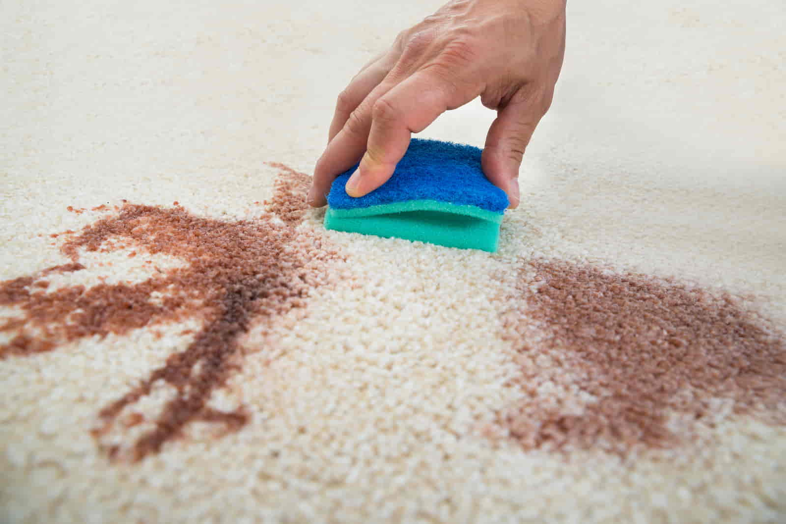 Remove Wood Stains From Carpet