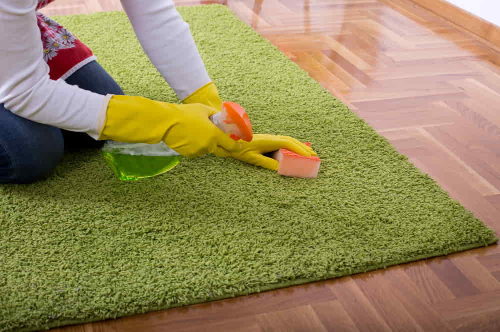 carpet cleaning by Dishwashing Soap