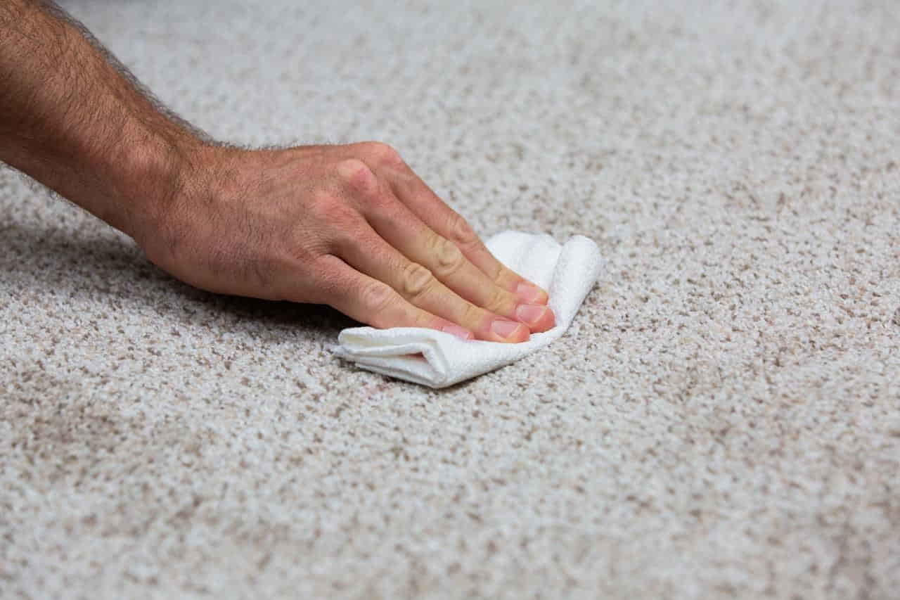 remove wood stains from carpet