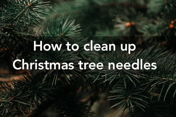 How to Clean Up Pine Needles From Your Carpet