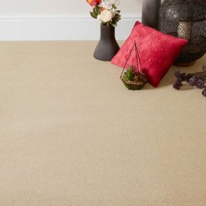 Arcadia Beige-2216896 Carpets