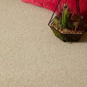 Arcadia Cream-2214937 Carpet