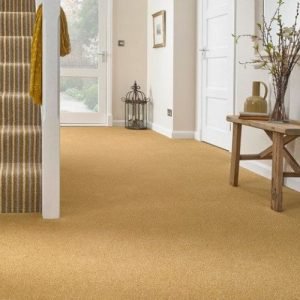 Historia Gold-2214302 Carpet