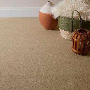 Arcadia Beige Grey-2210232 Carpets