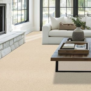 5 cloves beige Carpets