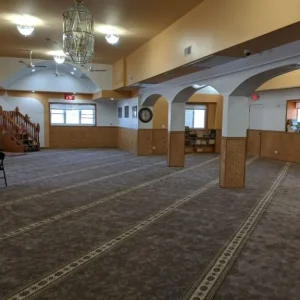Partitioned Mosque Carpets