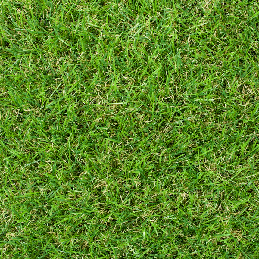 Maplespring 30mm Artificial Grass - Image 3