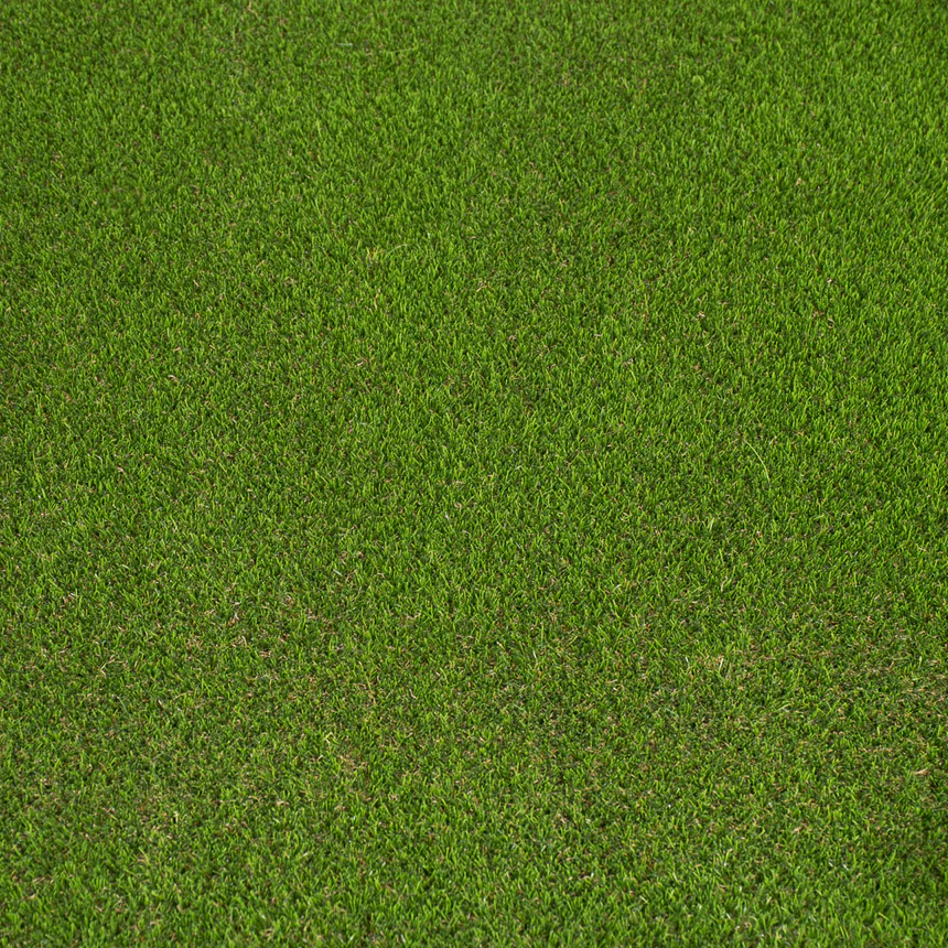 Someroaks 42mm PU Backed Artificial Grass - Image 2