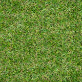 Trent 17mm Artificial Grass - Image 3