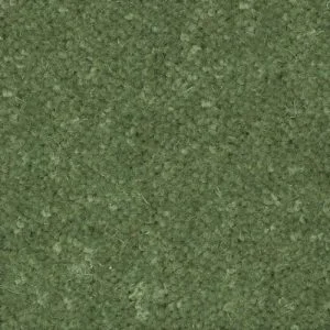 green-carpet