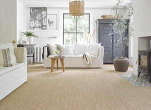 Elegant Living Room Sisal Rugs