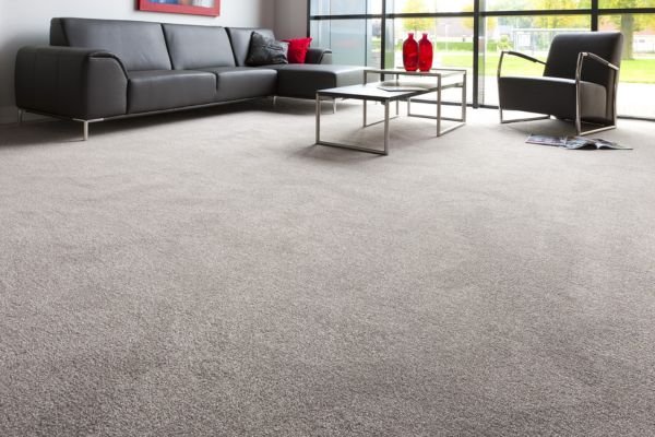 Grey color wall to wall carpets
