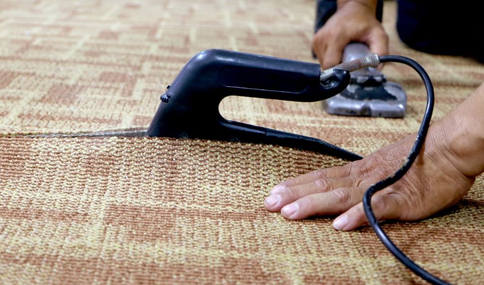 Carpet Maintenance Tips to Increase Lifespan