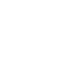 Polyester Carpets