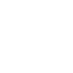 Nylon carpets
