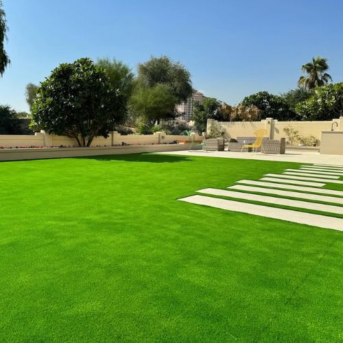 Amazing-view-of-lawn-with-artificial-grass