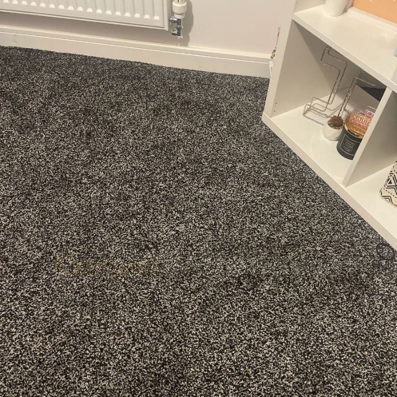 Charcoal Speckled Twist Carpet