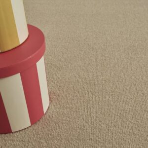 Desert Sand Loop Pile Carpet
