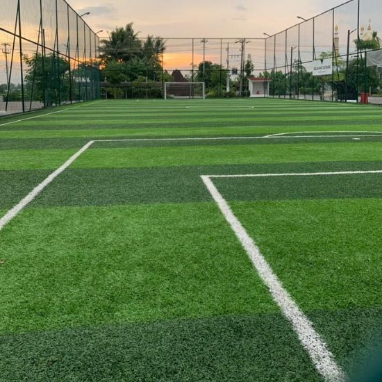 Football Ground Turf