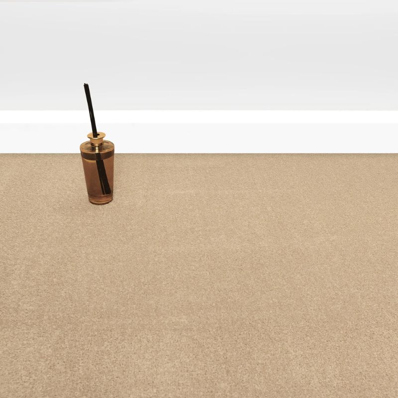 Light Beige Plush Carpet