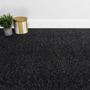 Midnight Black Cord Carpet