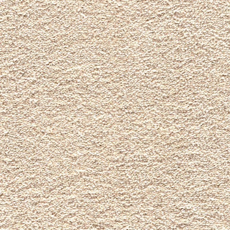 Pebble Beige Textured Carpet - Image 2